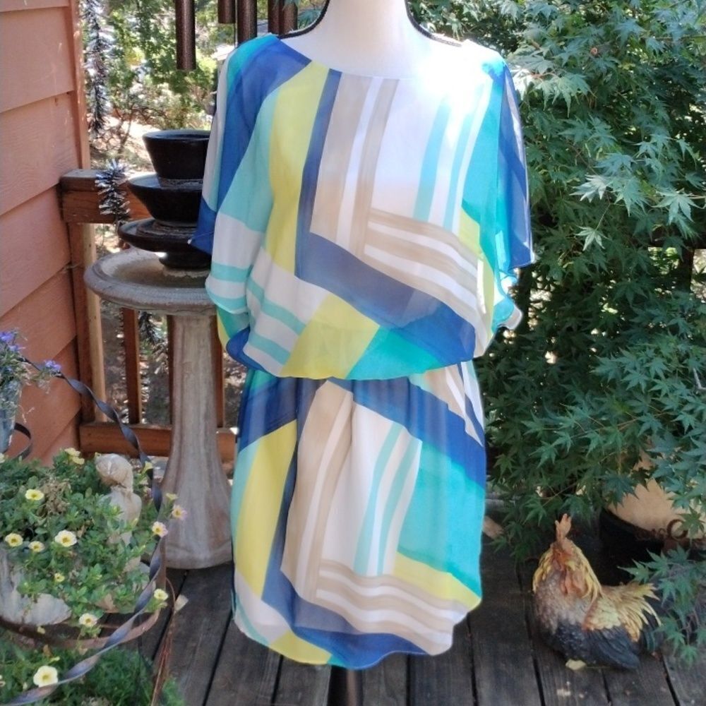 S.L.Fashions Sheer Dress